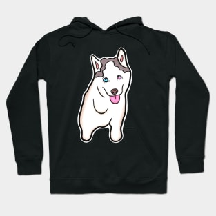 Adorable Three-Legged Tripod Husky Puppy Named Mochi Hoodie